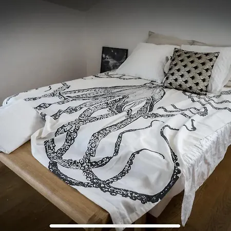 Apartment Beautiful Loft 130m2 Sun And Free Parking Ok 1m95 *
