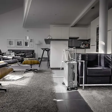 Apartment Beautiful Loft 130m2 Sun And Free Parking Ok 1m95 *